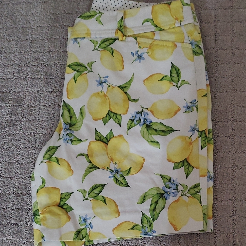 Talbots Summer White Lemon Shorts - Picture 4 of 5